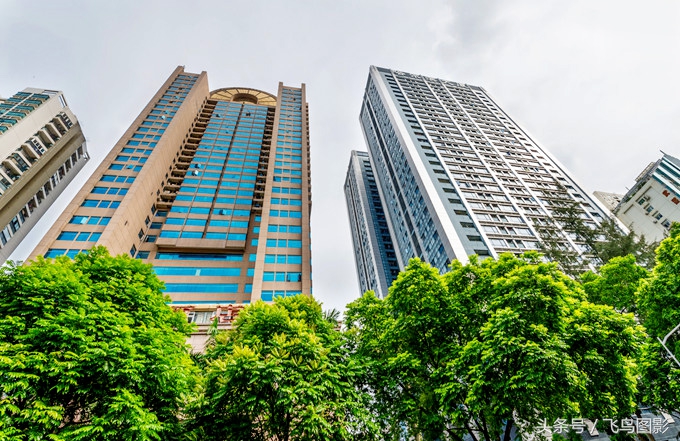 深圳的大楼排名,深圳市的标志著名建筑