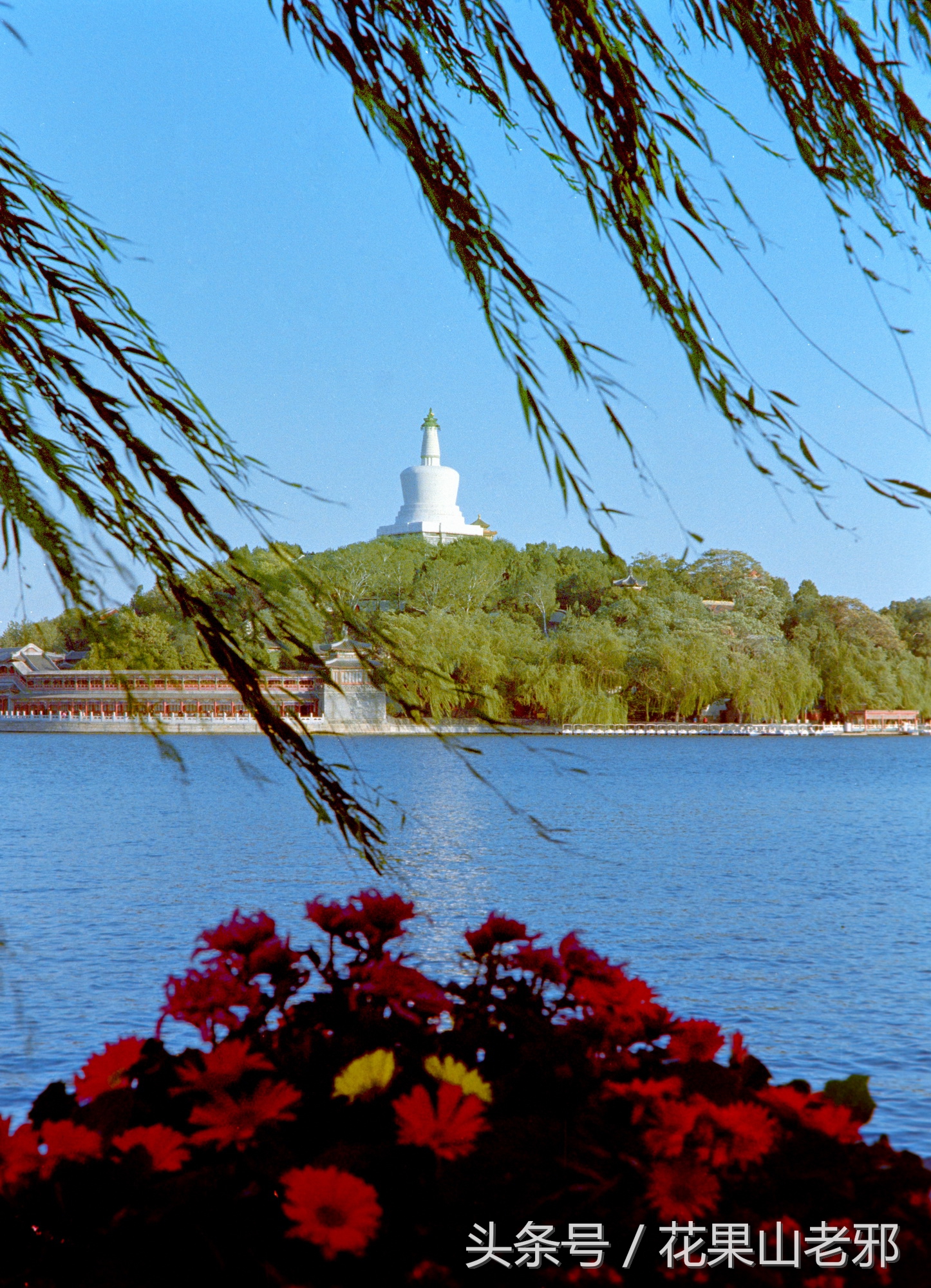 怎样用x光胶片翻拍人像底片,翻拍胶片底片如何处理