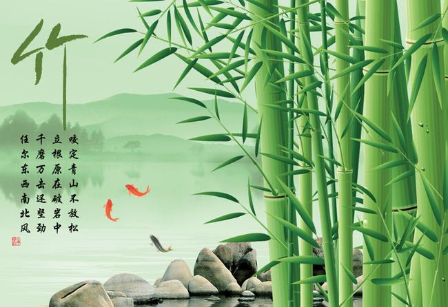 飞花令诗句大全最新版,中国诗词飞花令大全带赏析