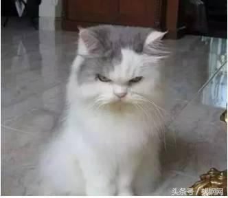 钢材销售员的一天，简直太形象了！笑喷……