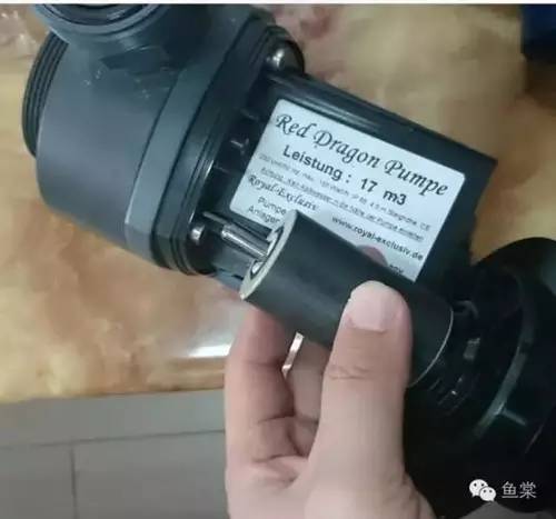 听说关于蛋分，你还在被忽悠？