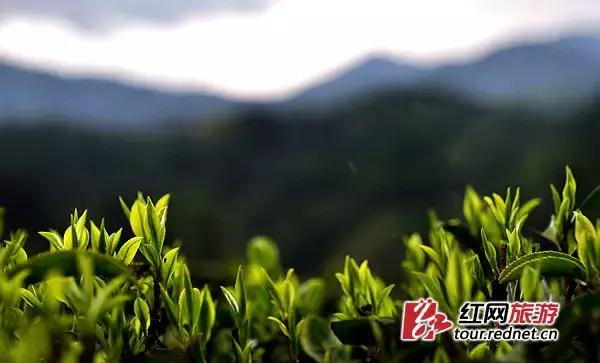 “南方夏都”桂东，平汝高速上的避暑休憩地