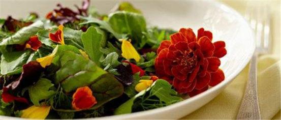 十里桃花算什么,这里有鲜花盛宴