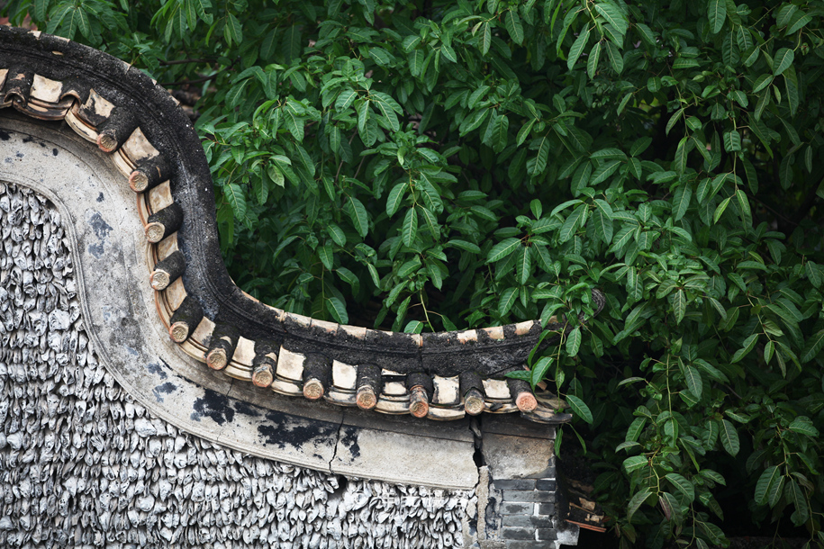 榕树不容人容人不榕树是什么意思,为什么有榕树不容人的说法