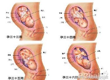 妊娠36周哪些表现是正常的,孕33-36周注意事项