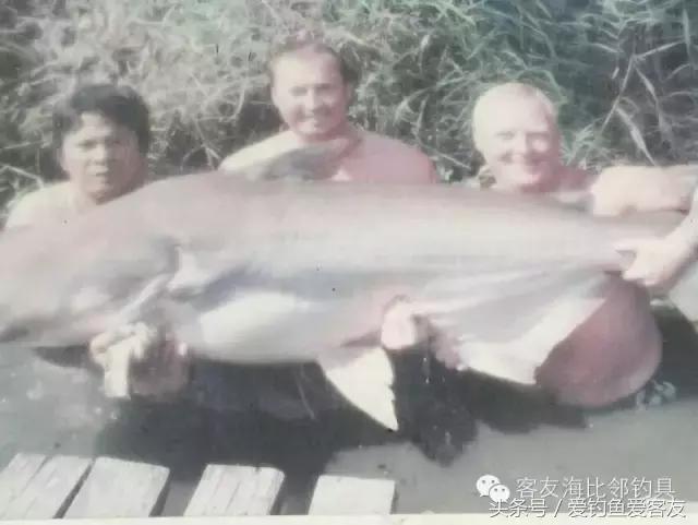 泰国巨骨舌鱼钓场位置,泰国钓鱼钓巨物位置