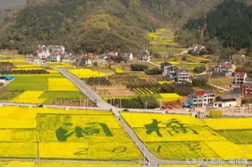 衢州旅行社旅游攻略一日游 (衢州三亚旅行社跟团旅游报价)