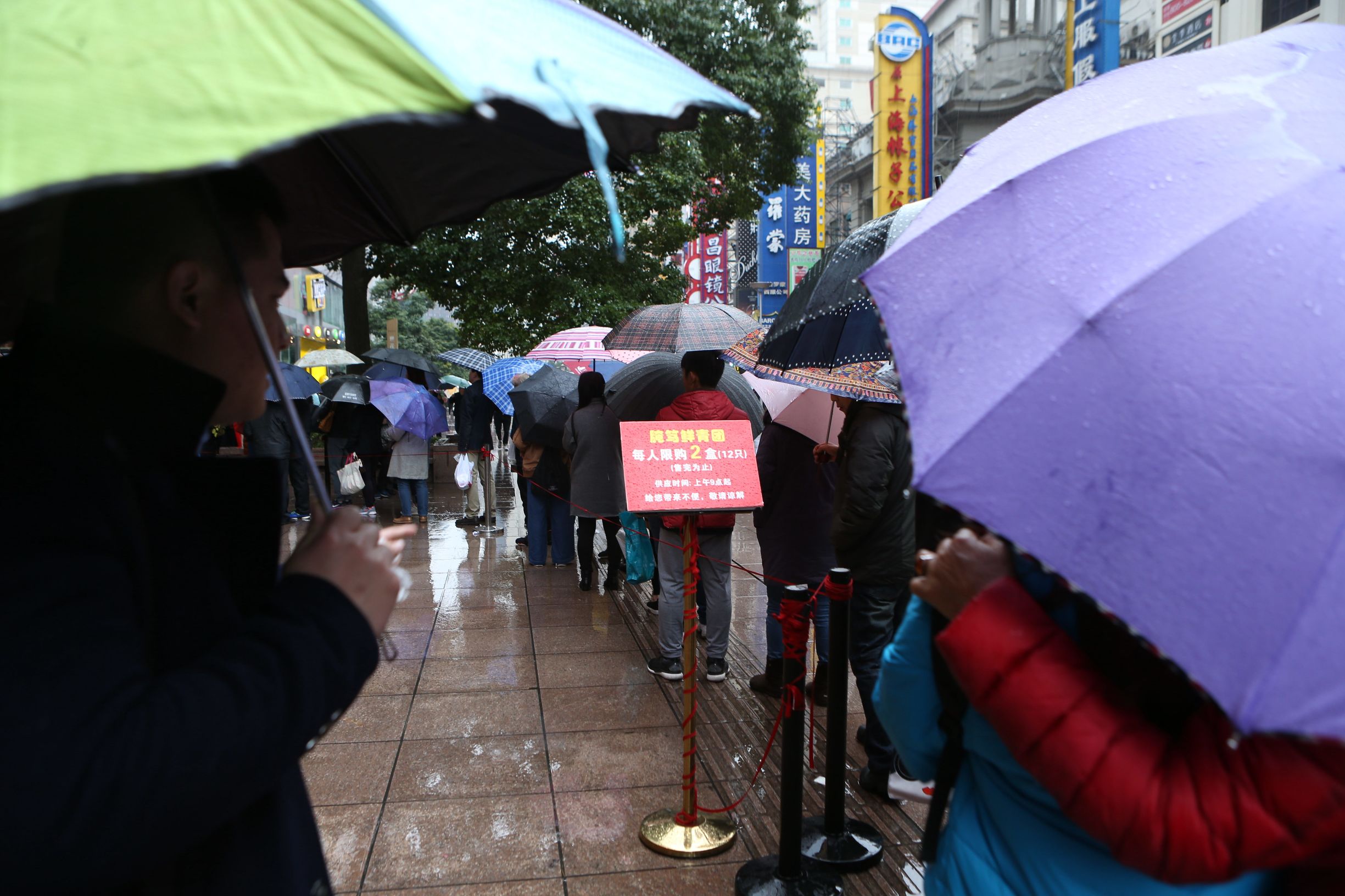 上海正宗腌笃鲜,上海青团直播现卖