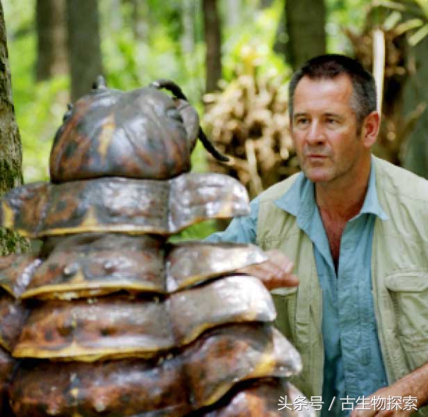 史前蜈蚣大战巨脉蜻蜓,史前蜈蚣体长可达3米