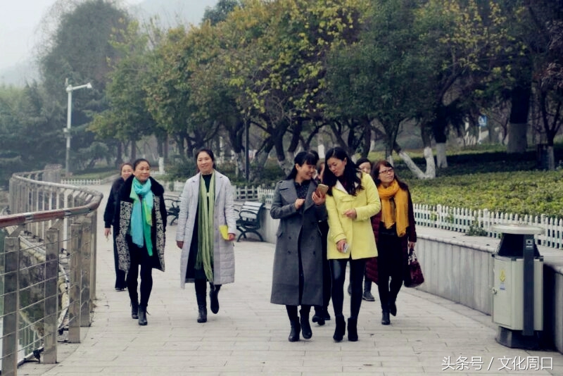 足球进中小学,足球教练员进校园