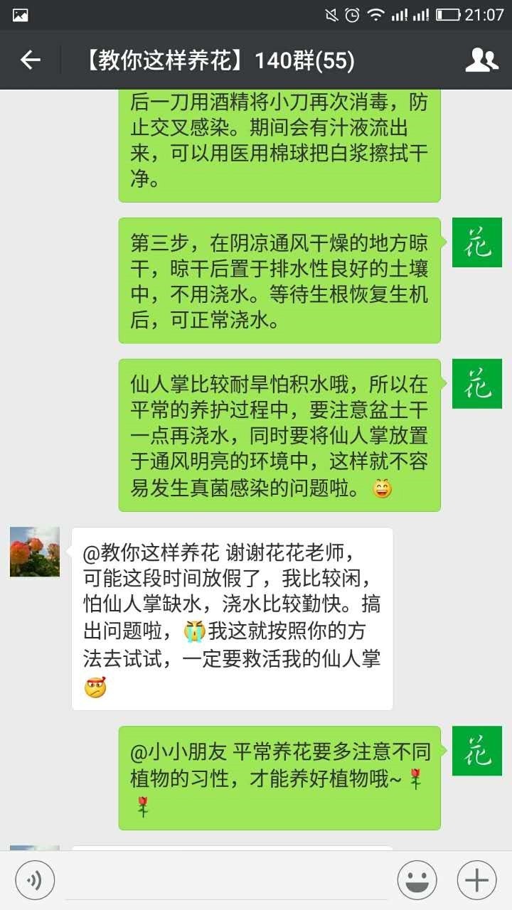 仙人掌嫁接蟹爪兰烂根了怎么处理,仙人掌烂根快速消除方法
