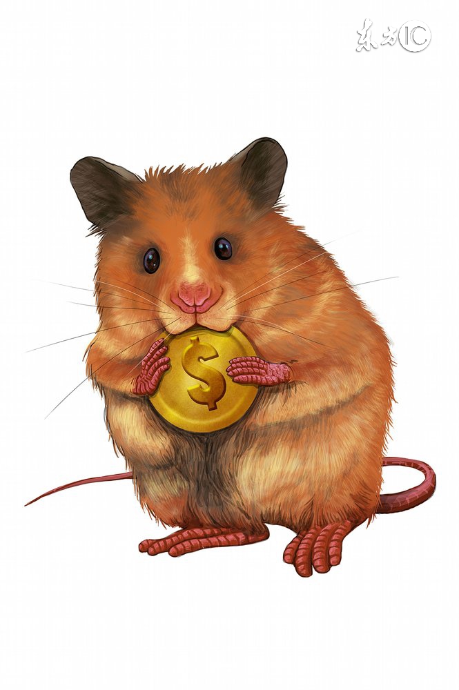 2017犯太岁的生肖要注意什么,2017犯太岁的化解方法