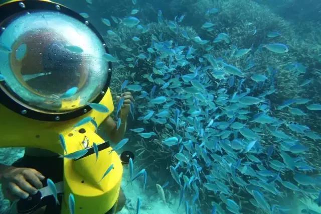 塞班岛新年自由行,塞班出国旅游攻略