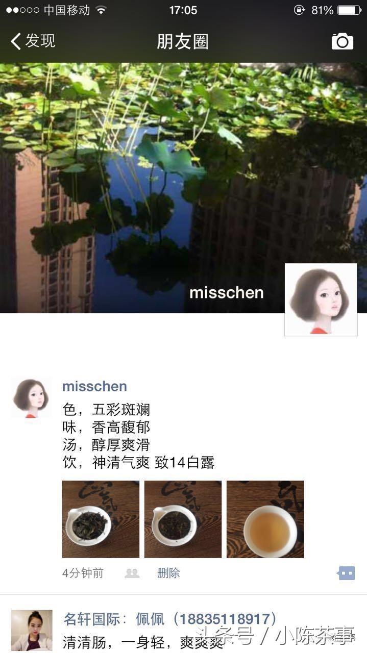 15年白露茶散茶,2019年的白露茶