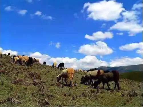 乐山每个区县名字,四川乐山省级贫困县名单