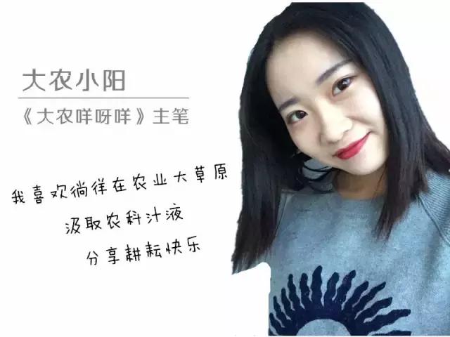 老把式种地方法,种地是老种法吗