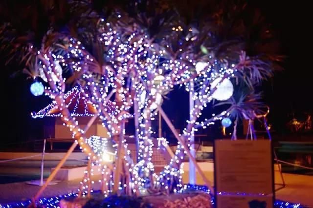 冲绳全日空万座海滨洲际酒店 (冲绳全日空洲际酒店)