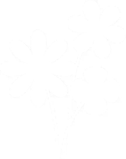 3个臭皮匠肉身亲测青白江文体中心，限时免费！约吗？