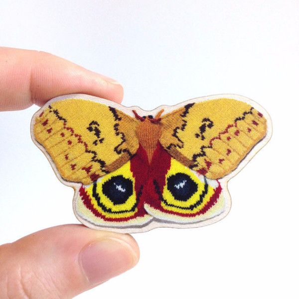 你以为飞蛾都是灰蒙蒙的吗？她用毛线再造灭绝飞蛾惊艳所有人！