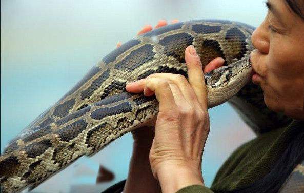 农村养猪养鱼,还有养蛇的,感觉好可怕!