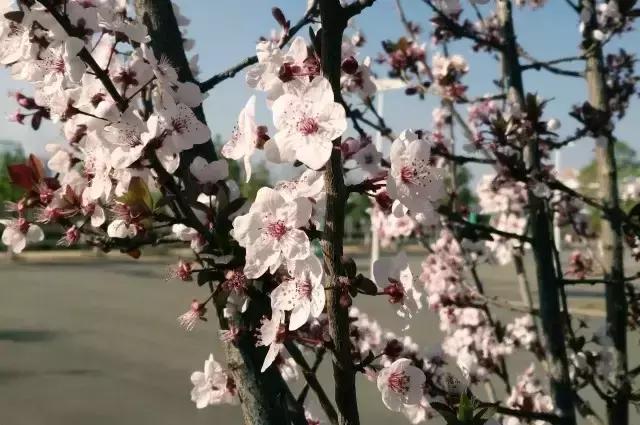 我在昆明理工大学，我为昆工骄傲