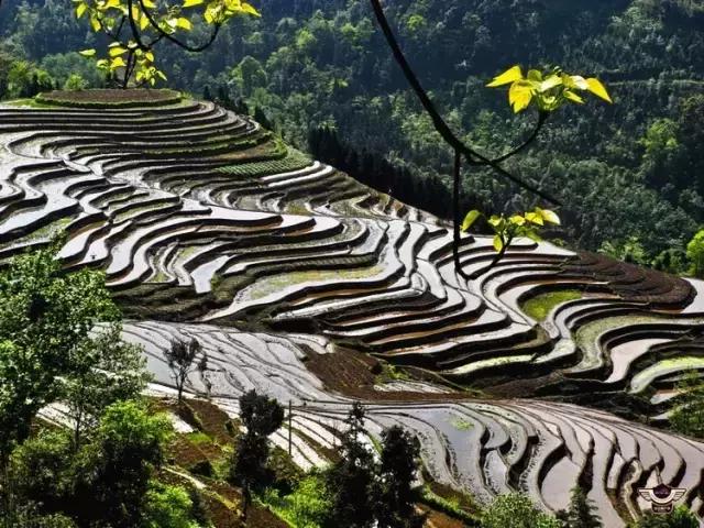 四峨梯田徒步,成都九月四姑娘山徒步一日游