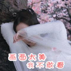 不是白浅夜华而是LVxSupreme