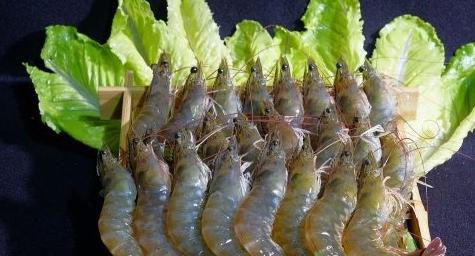 湿疹影响宝宝的皮肤小儿湿疹治疗方法