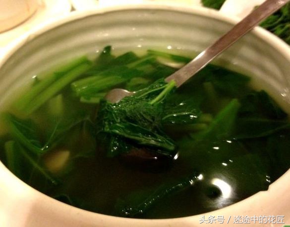 终于到了万物苏醒的春天,农家的野菜等着端上你家的餐桌(二)