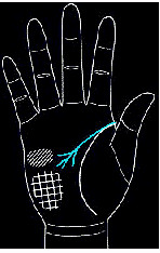 手的生命线是越长越好吗,手纹上的生命线越长越好吗