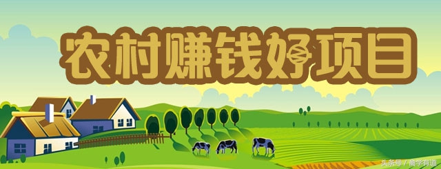 想在农村创业有没有什么好的项目,55到65岁在农村能创业什么项目