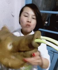 唐僧的坐骑变成了一辆车,现在唐僧骑的白龙马是真的吗