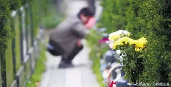 清明小长假出行这份攻略请收好,清明三天小长假去哪里玩呢