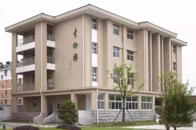 翠岗中学2017,翠岗中学实力如何