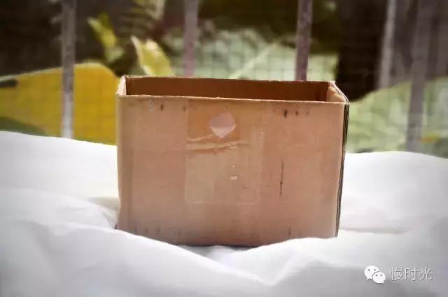 快递盒创意改造,废旧纸盒快递盒改造