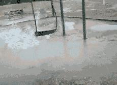 搞笑gif这狗子真老实呀,爆笑gif