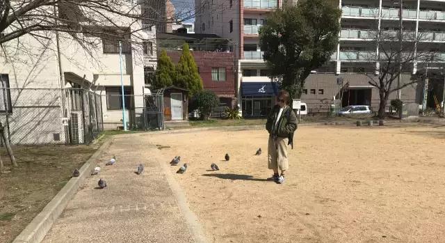 大阪京都旅游攻略三天,日本大阪京都旅游游记