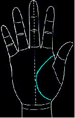 手的生命线是越长越好吗,手纹上的生命线越长越好吗