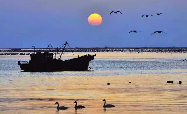 国内海边带小孩哪里好,哪个海边适合一个人带宝宝去玩