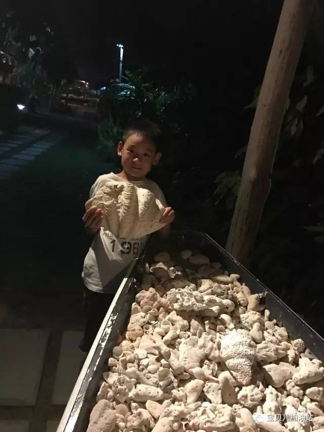 塞舌尔游记,塞舌尔埃及