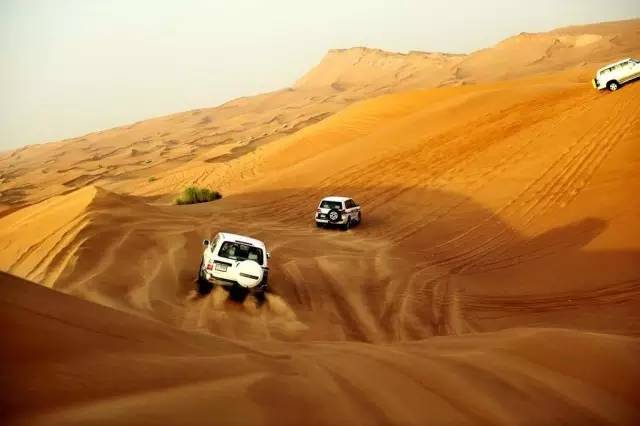 怎么拍出来照片和油画一样,拍照拍出油画质感