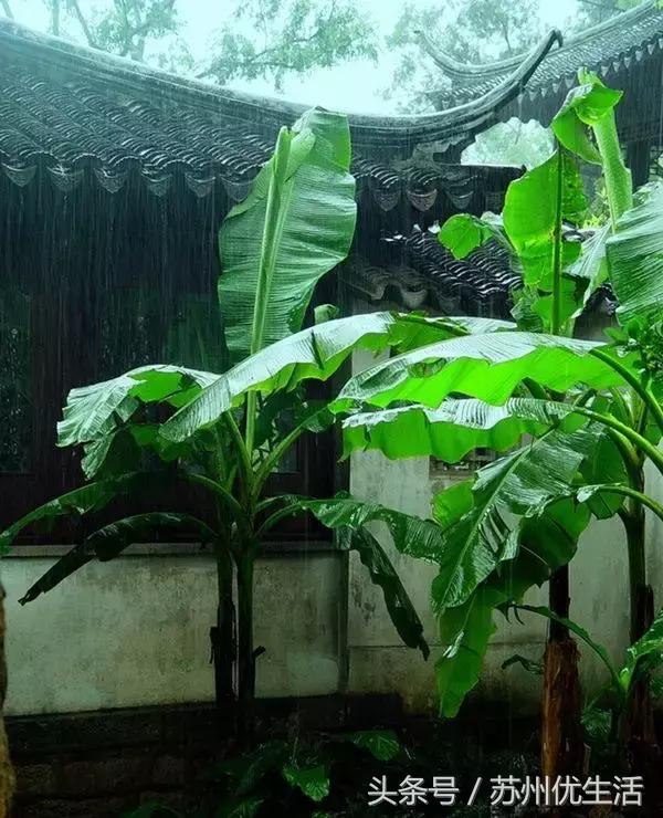 清明小长假出行这份攻略请收好,清明三天小长假去哪里玩呢