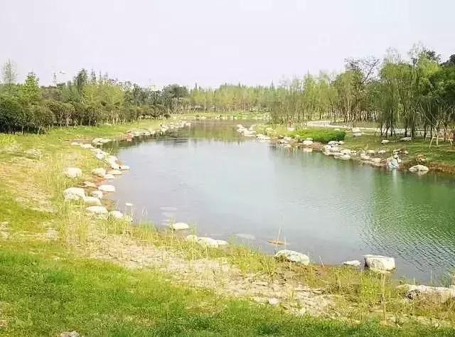 成都新建成的几大公园,成都新增2个公园