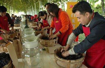 酿酒教程葡萄酒,酿酒知识简单的葡萄酒制作步骤