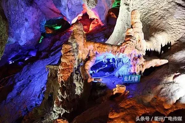 衢州旅行社旅游攻略一日游 (衢州三亚旅行社跟团旅游报价)