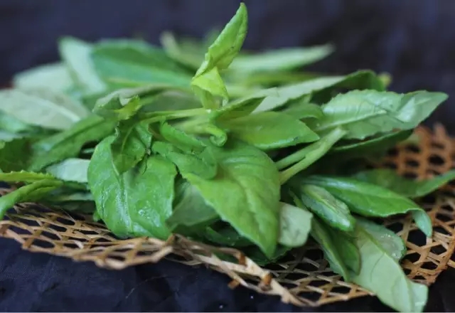 野菜鲜香嫩绿,野菜春天来