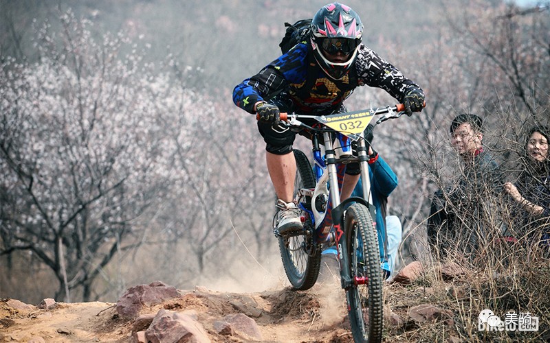 老鸟入门教程视频,分享新手选车攻略