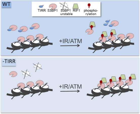 nature一周论文导读2020年8月20日,nature一周论文导读2020年6月18日
