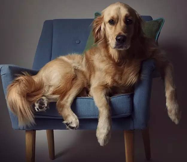 人力资源行业的困境,人力资源行业如何破局