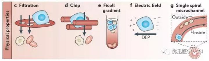 液体ctc循环肿瘤细胞检测靠谱吗,液体活检dna检测准确性